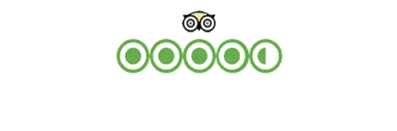 Trip Advisor